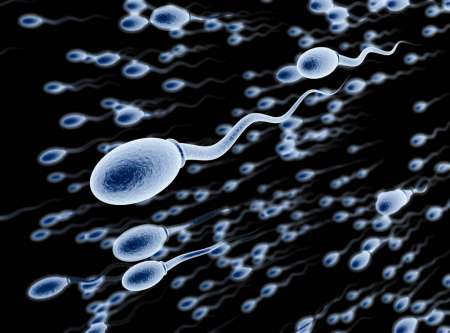 Photo de Recherche donneur de sperme artisanal